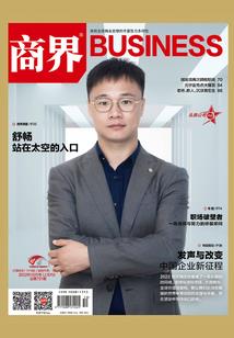将军的妃子