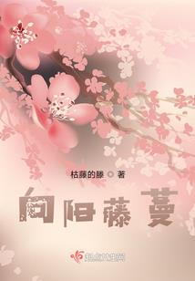 浮生半枕红尘梦