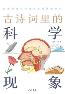 战记——代号零