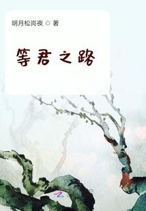 我在明朝做军匠的日子