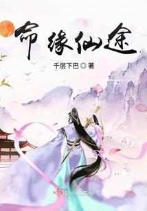 总裁的欠债夫人