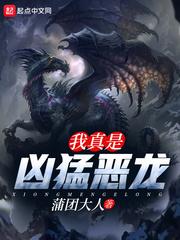 富国公主的贵妃之旅