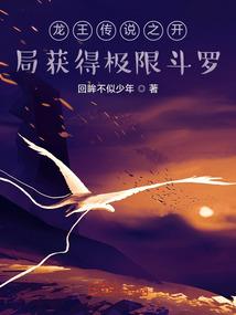 绝对防御之大宗主