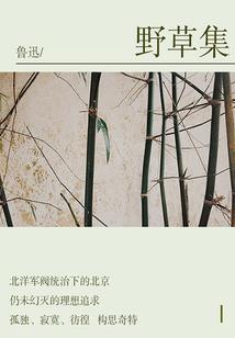 公子嫁到王爷快接嫁