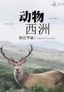 无需杯酒敬过往