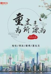 归途之天墓