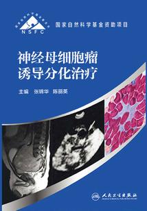 弧光之境
