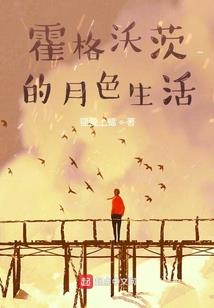 海贼王之副船长