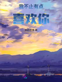 枫雨之路