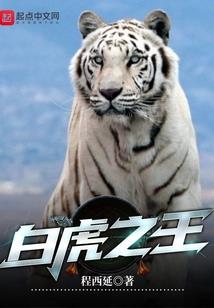 婧婧与花花