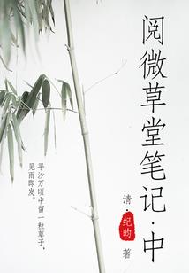 妃子游戏