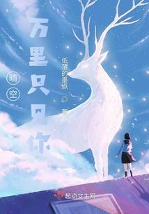 明箭暗枪