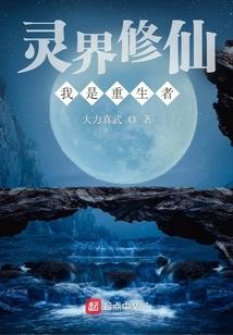 无赖总裁爱上古代特工