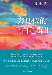 嗜夜皇后