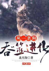 神谕计划