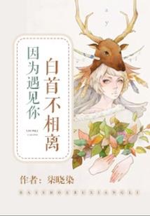 仙侠天道录